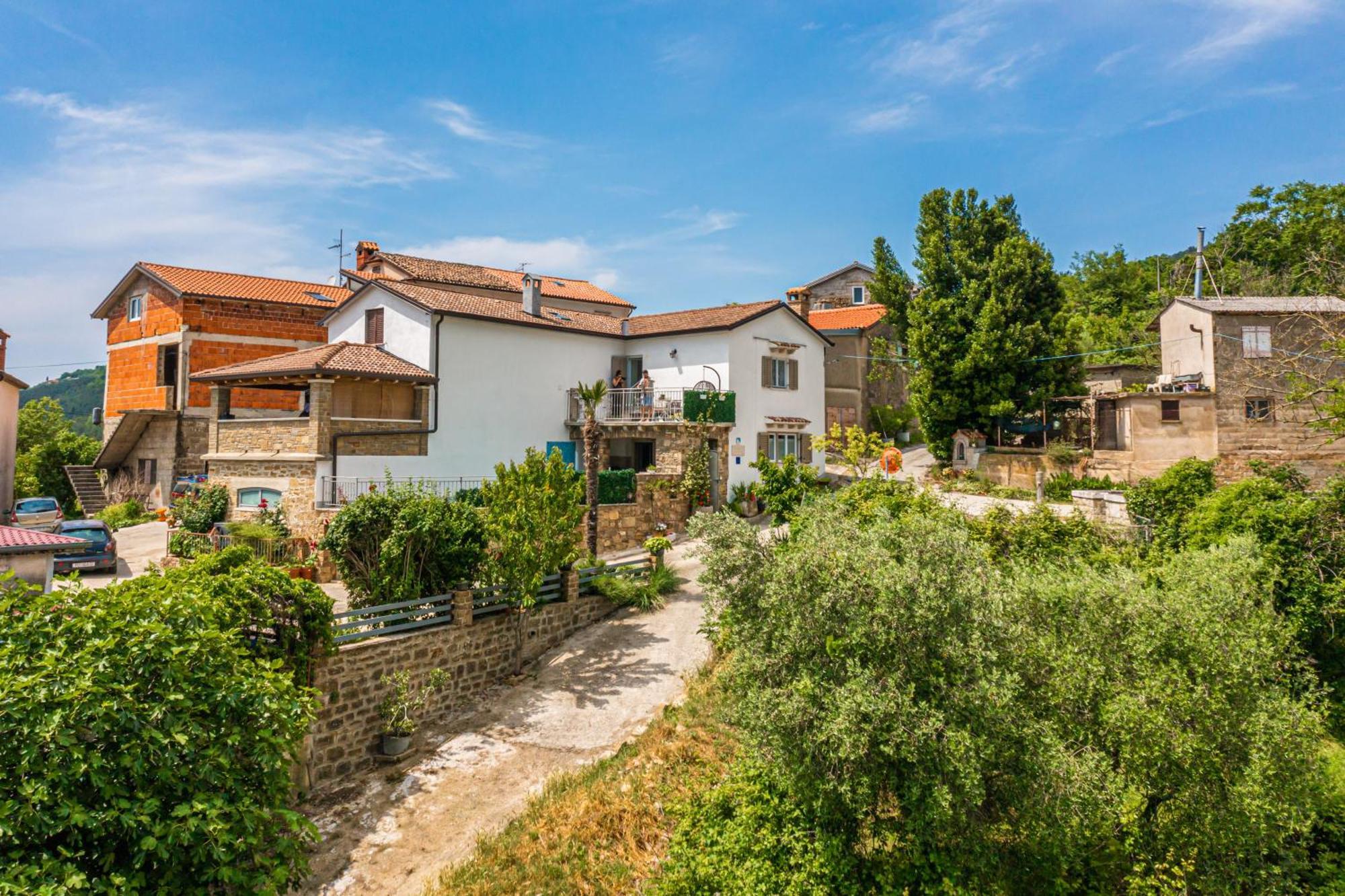 Holiday Home Belveder Motovun With Heated Pool Livade Extérieur photo