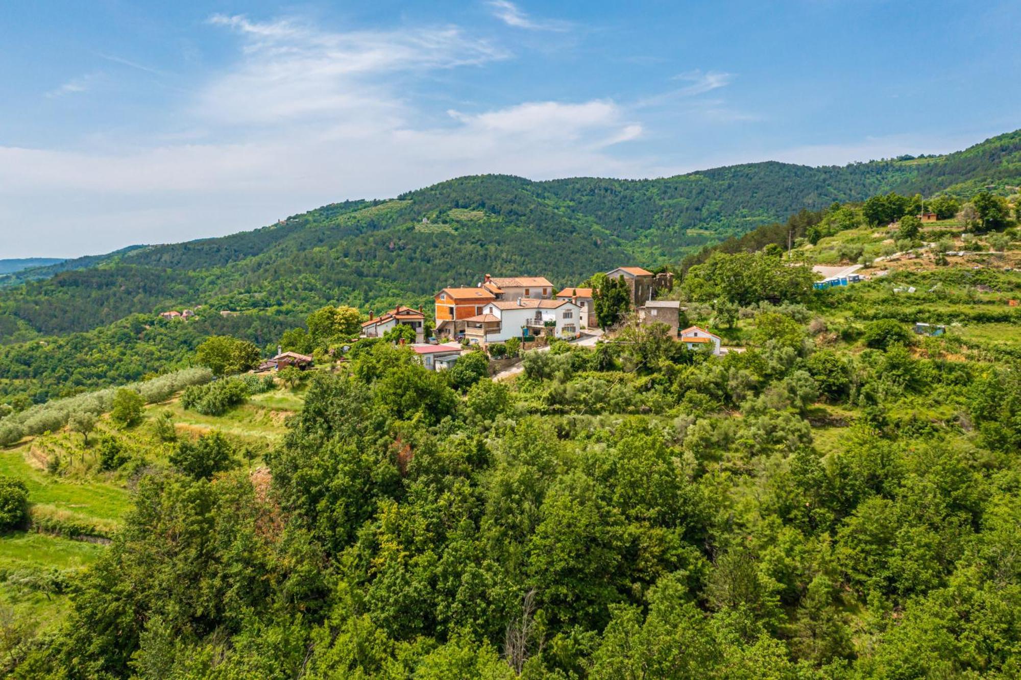 Holiday Home Belveder Motovun With Heated Pool Livade Extérieur photo